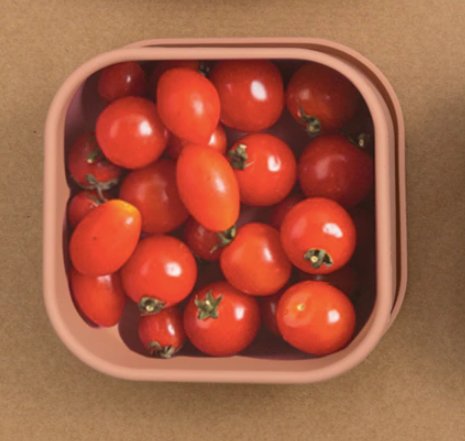 Silicone Square Container